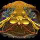 Illustration for article titled A 3D Reconstruction of the Worlds Oldest Face